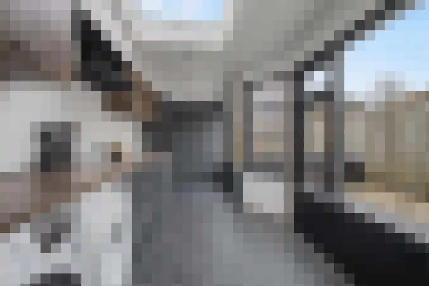Pieter de Hooghstraat 9 Terneuzen thumbnail 15