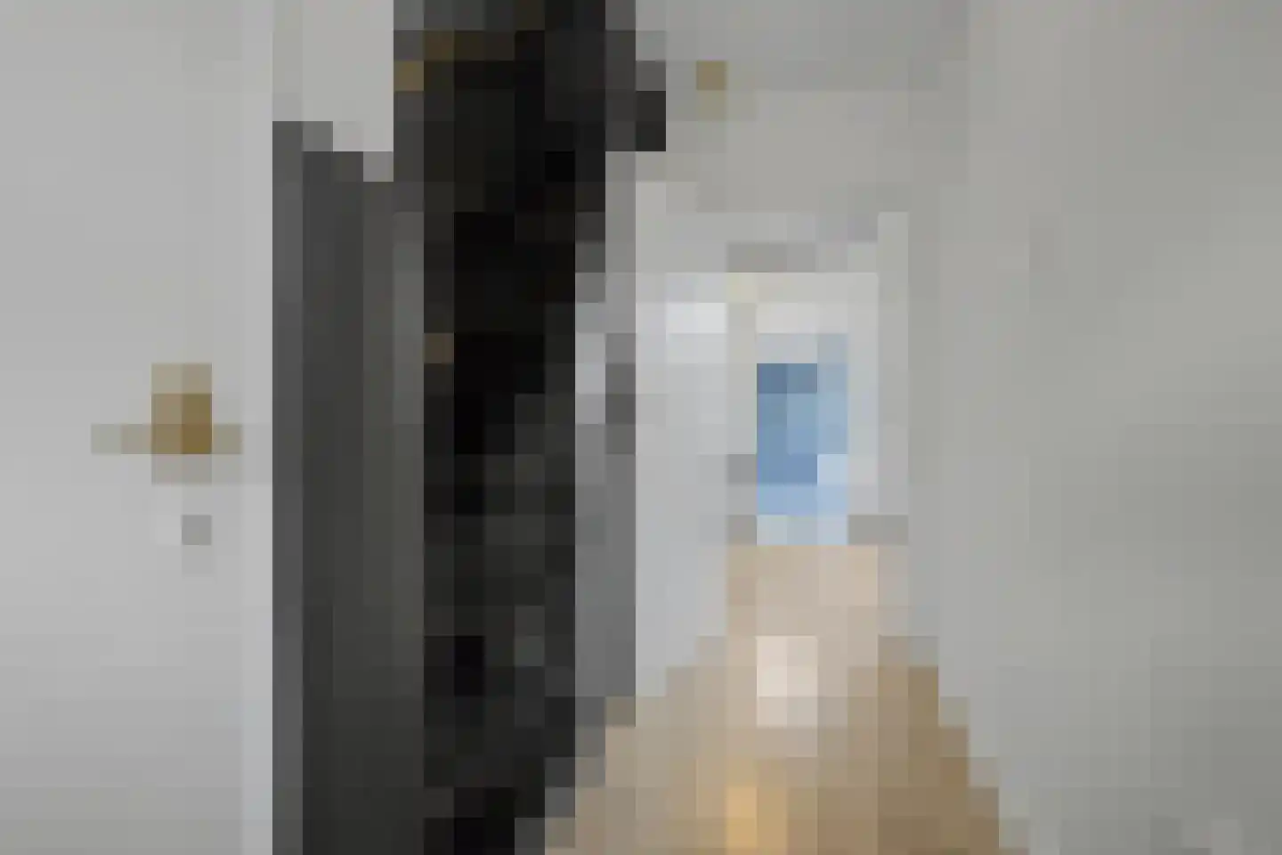 Pieter de Hooghstraat 9 Terneuzen thumbnail 7