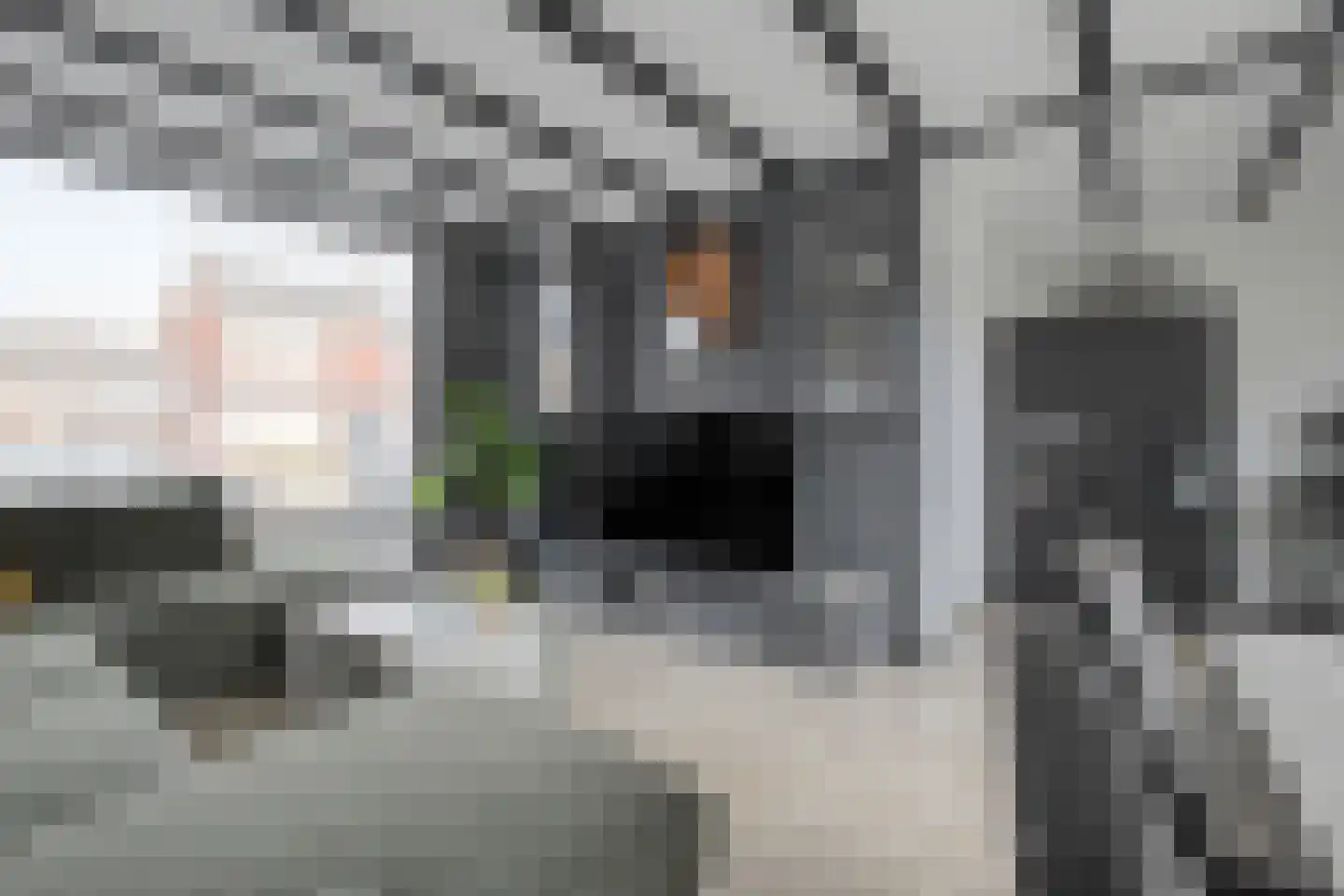 Pieter de Hooghstraat 9 Terneuzen thumbnail 9