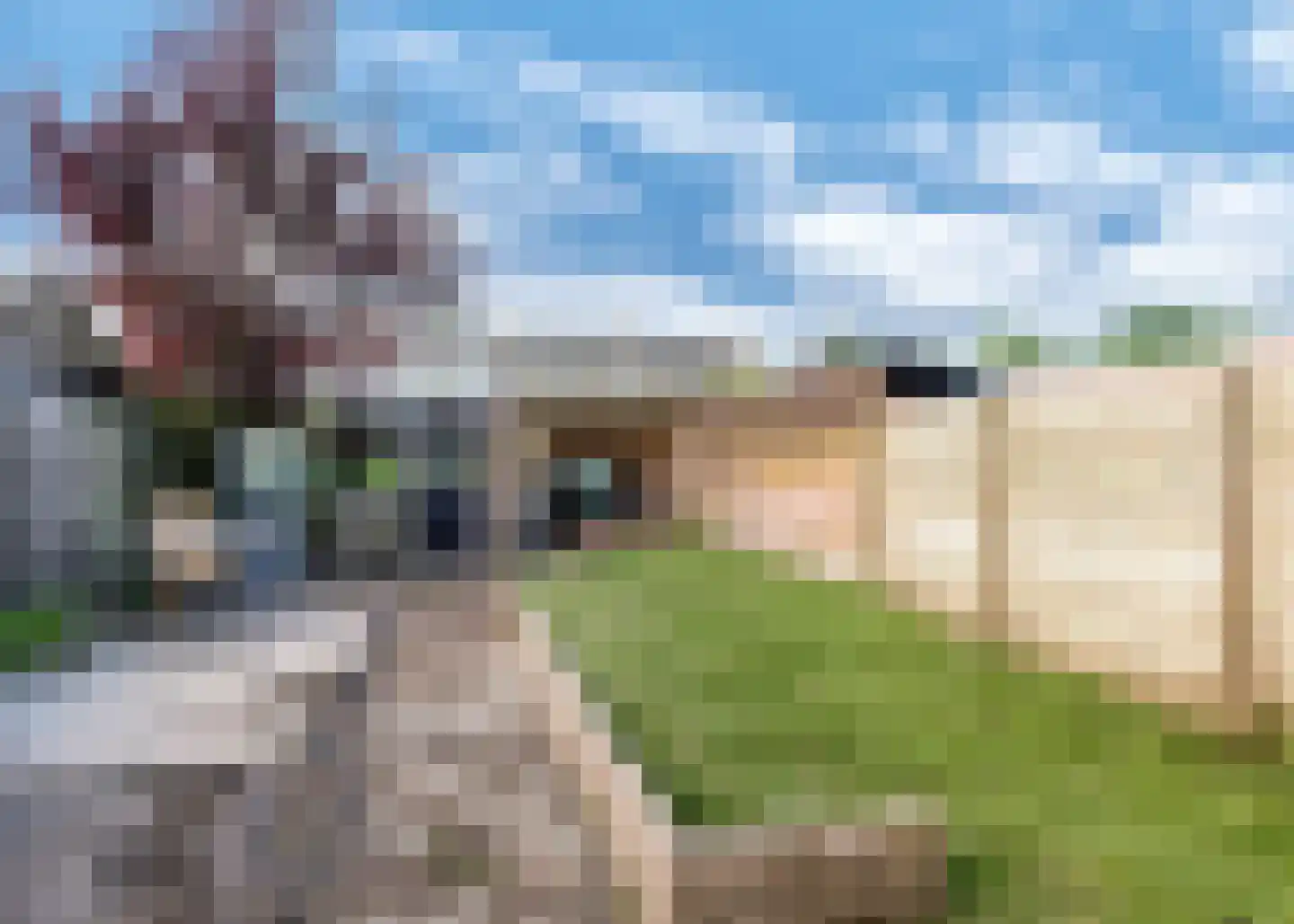 Pieter de Hooghstraat 99 Heerhugowaard thumbnail 25