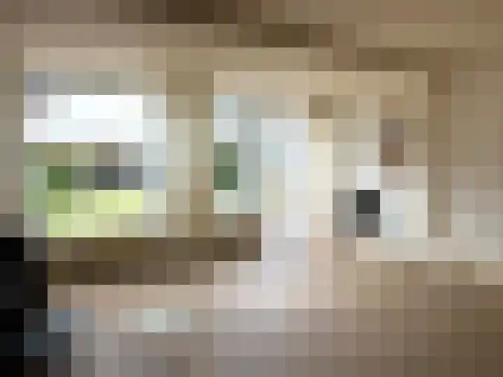 Pieter de Hooghweg 28 Groesbeek thumbnail 13