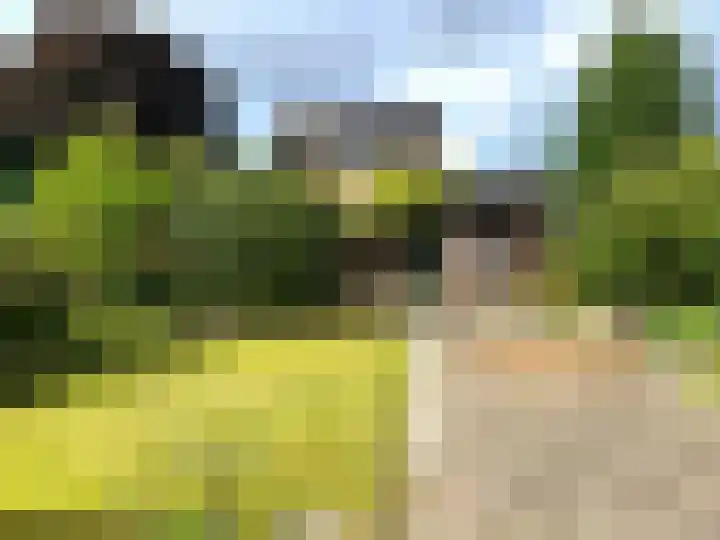 Pieter de Hooghweg 28 Groesbeek thumbnail 28