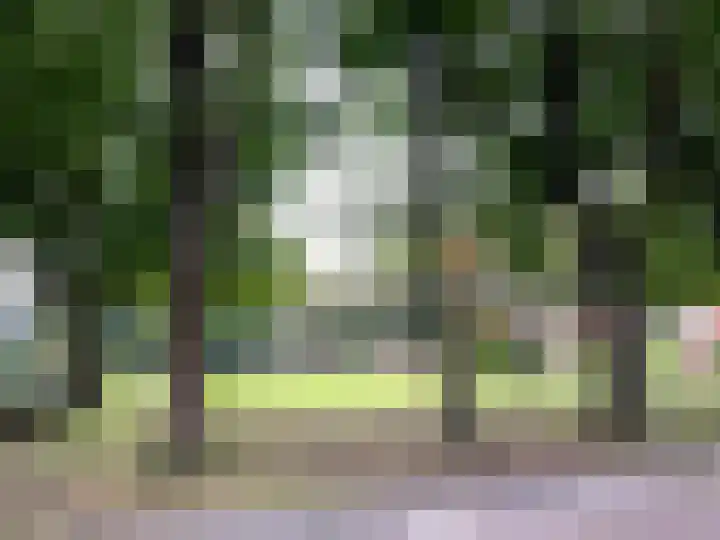 Pieter de Hooghweg 28 Groesbeek thumbnail 29
