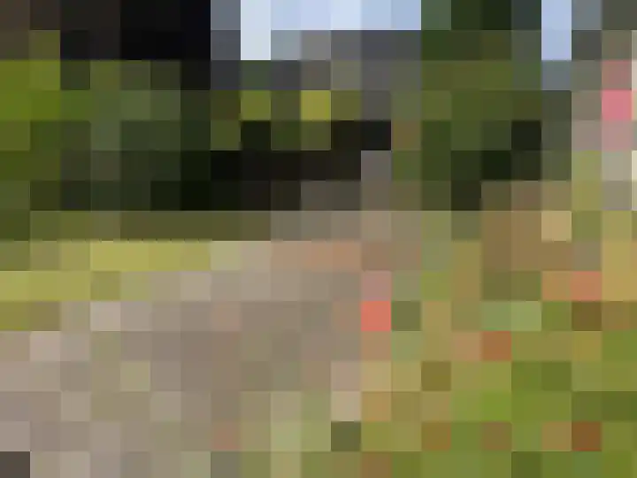 Pieter de Hooghweg 28 Groesbeek thumbnail 5