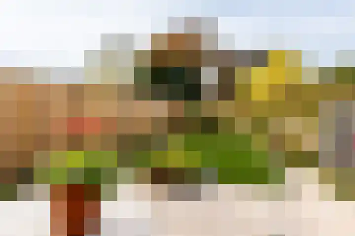 Pieter de Hooghweg 30 Groesbeek thumbnail 32