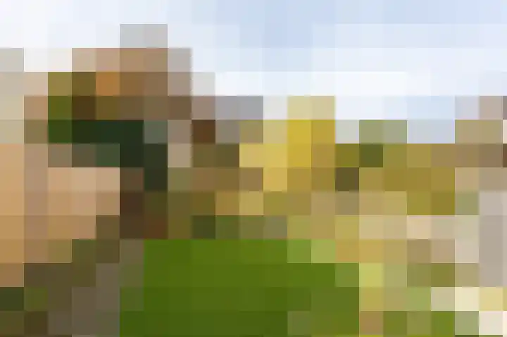Pieter de Hooghweg 30 Groesbeek thumbnail 33