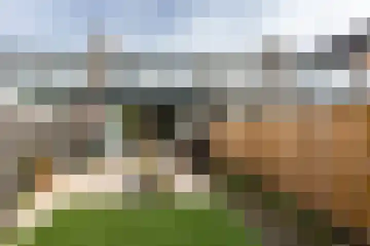 Pieter de Hooghweg 30 Groesbeek thumbnail 35