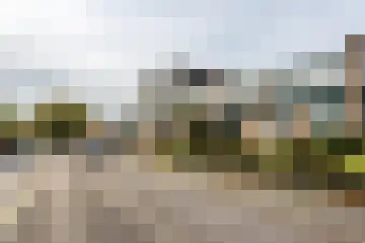Pieter de Hooghweg 30 Groesbeek thumbnail 37