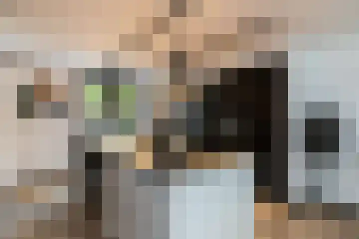 Pieter de Koninghof 12 Papendrecht thumbnail 10