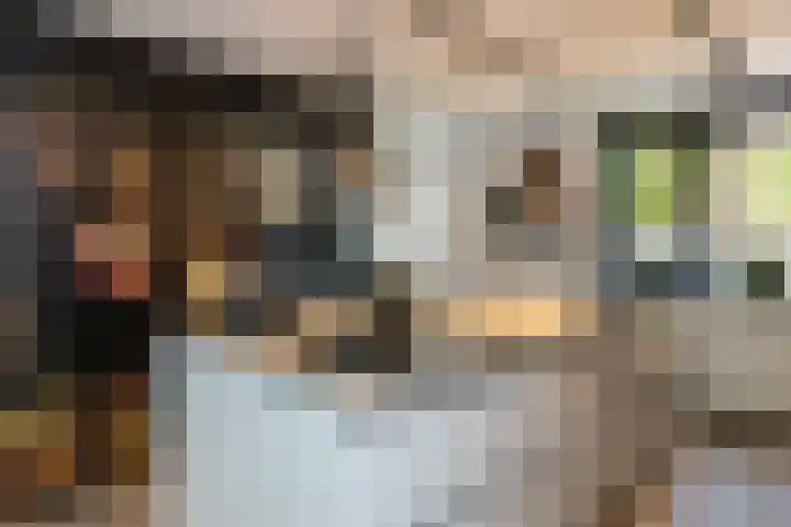 Pieter de Koninghof 12 Papendrecht thumbnail 11