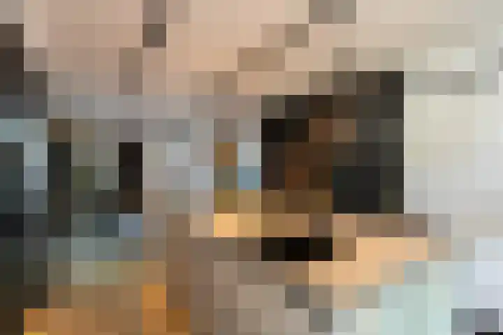 Pieter de Koninghof 12 Papendrecht thumbnail 13