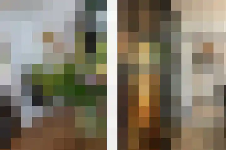 Pieter de Koninghof 12 Papendrecht thumbnail 14