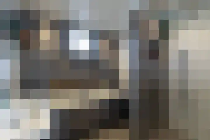 Pieter de Koninghof 12 Papendrecht thumbnail 20