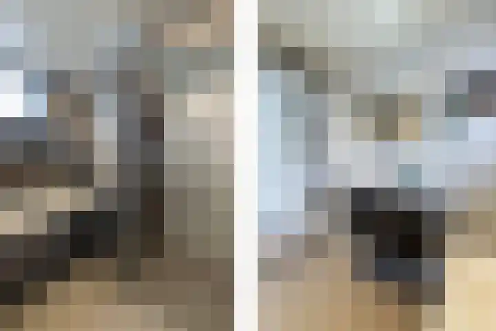 Pieter de Koninghof 12 Papendrecht thumbnail 21