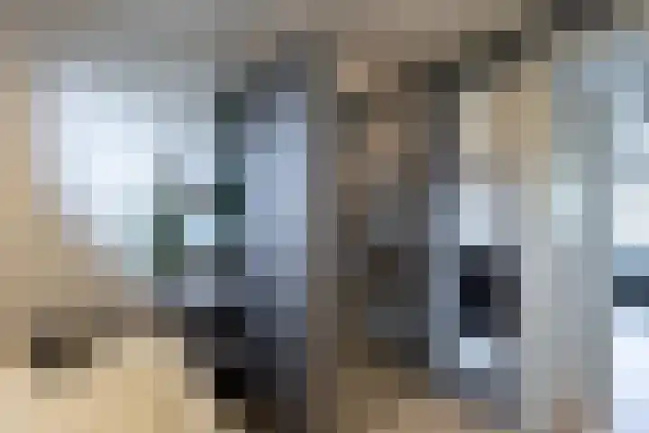 Pieter de Koninghof 12 Papendrecht thumbnail 22