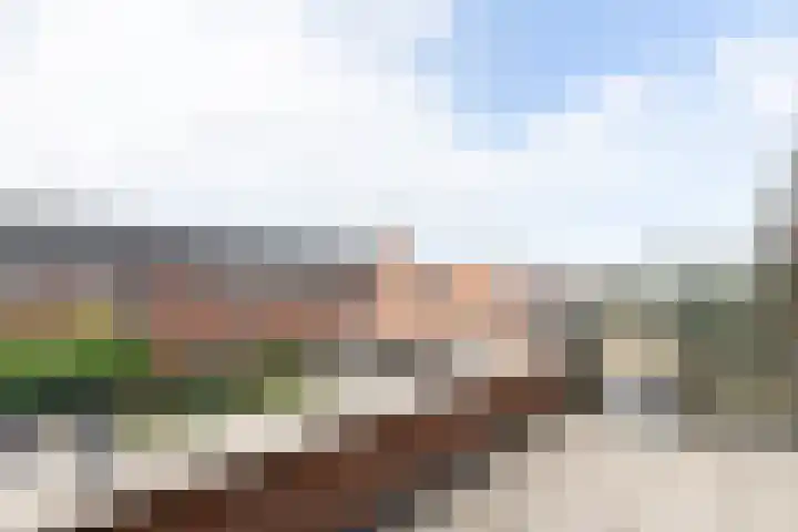 Pieter de Koninghof 12 Papendrecht thumbnail 28
