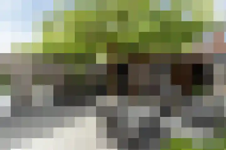 Pieter de Koninghof 12 Papendrecht thumbnail 29