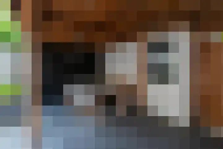 Pieter de Koninghof 12 Papendrecht thumbnail 30