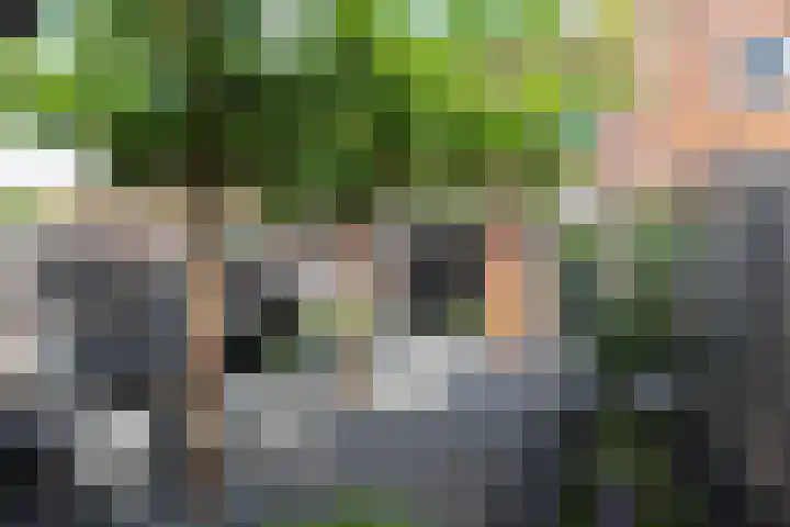 Pieter de Koninghof 12 Papendrecht thumbnail 34