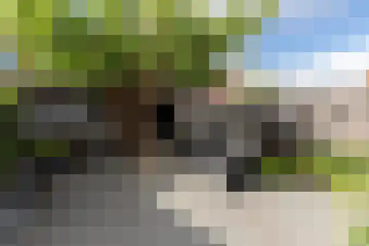 Pieter de Koninghof 12 Papendrecht thumbnail 4