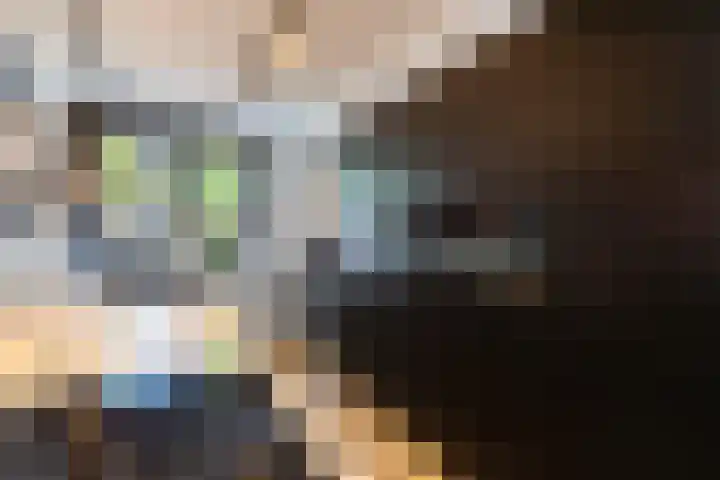 Pieter de Koninghof 12 Papendrecht thumbnail 9