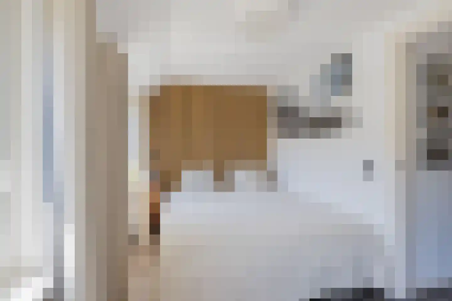 Pieter de la Courtstraat 54 Leiden thumbnail 18