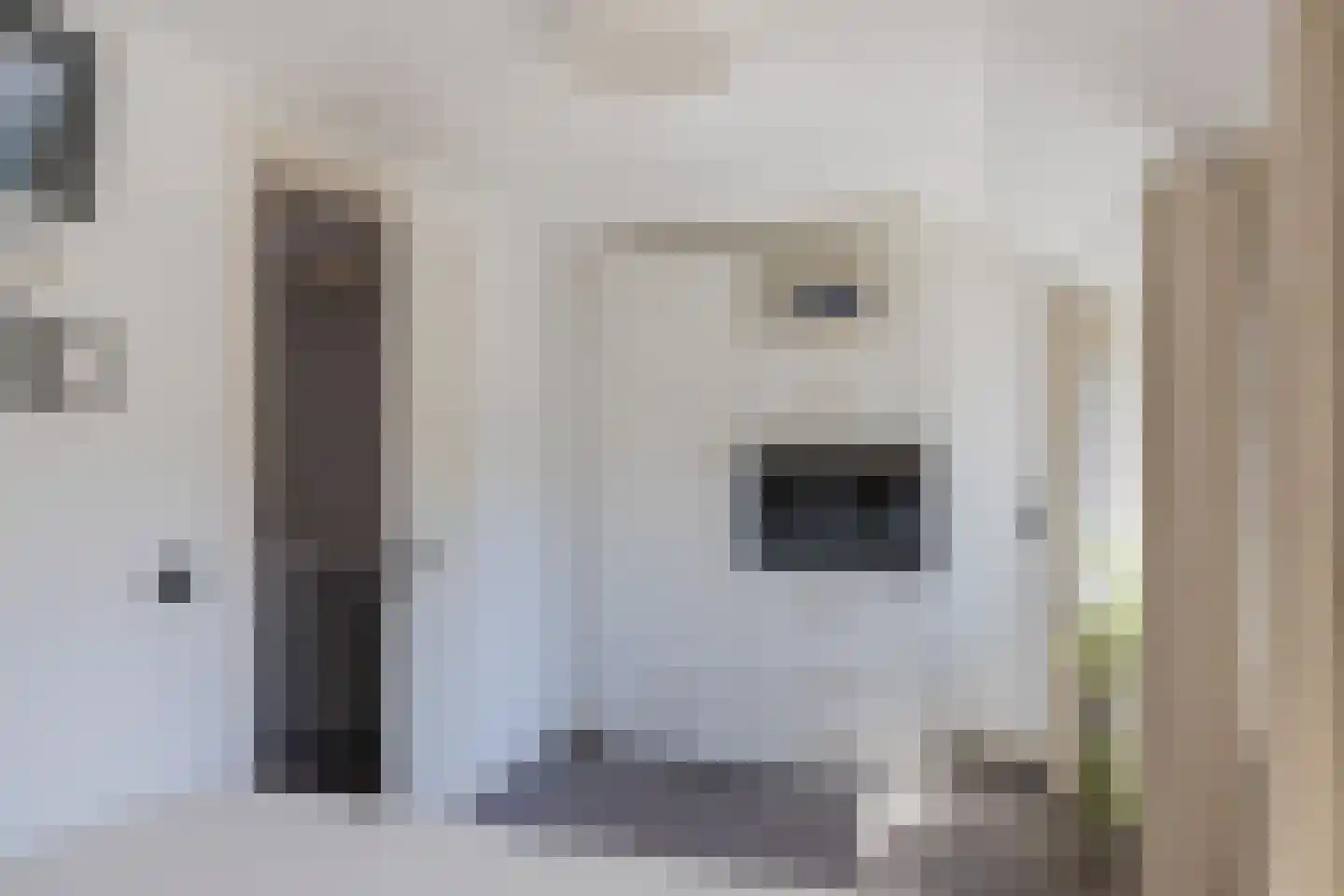 Pieter de la Courtstraat 54 Leiden thumbnail 19