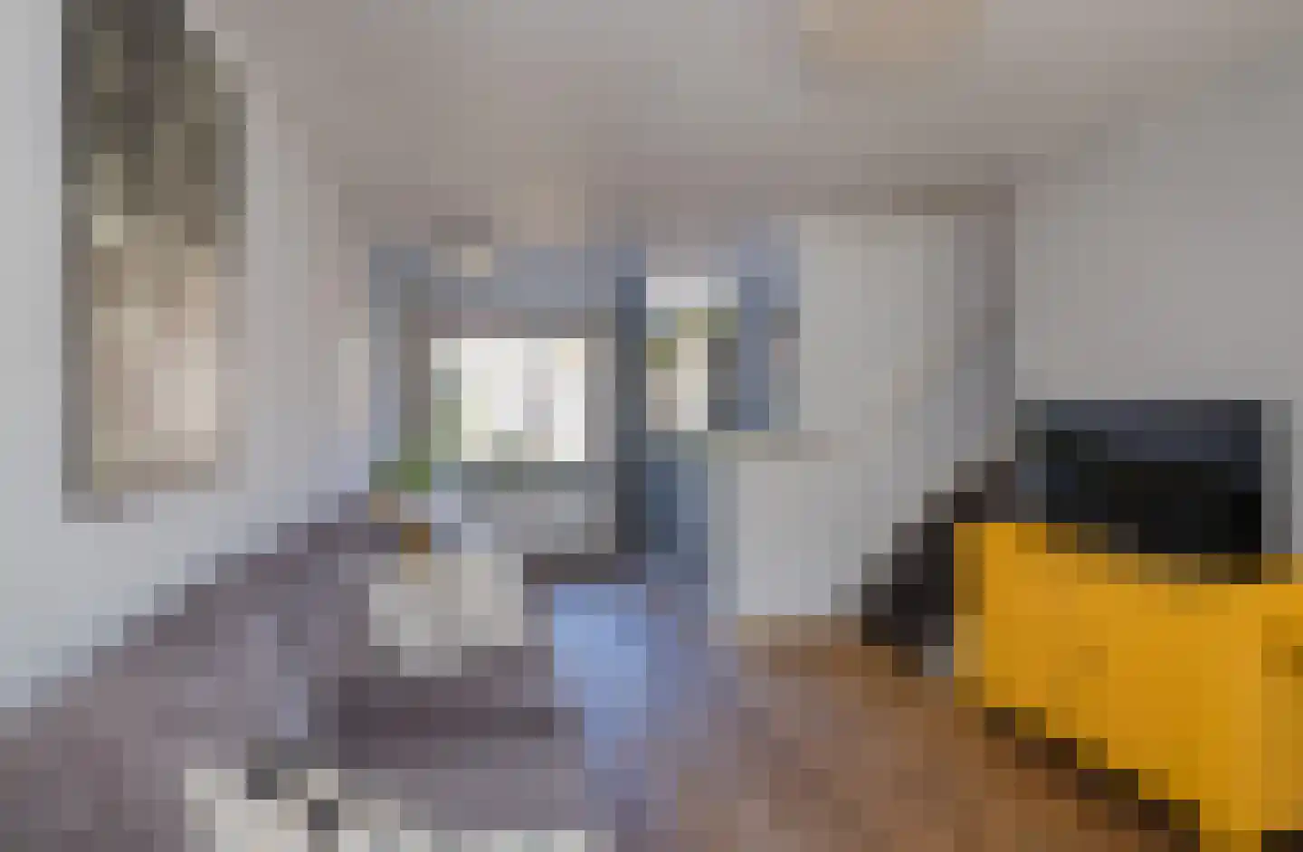 Pieter de la Courtstraat 54 Leiden thumbnail 6