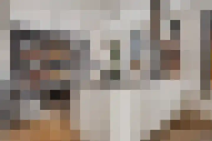 Pieter de Molijnlaan 29 Soest thumbnail 11