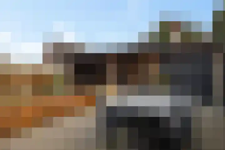 Pieter de Molijnlaan 29 Soest thumbnail 28