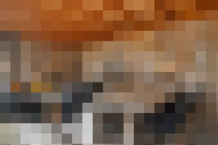 Pieter de Molijnlaan 29 Soest thumbnail 30
