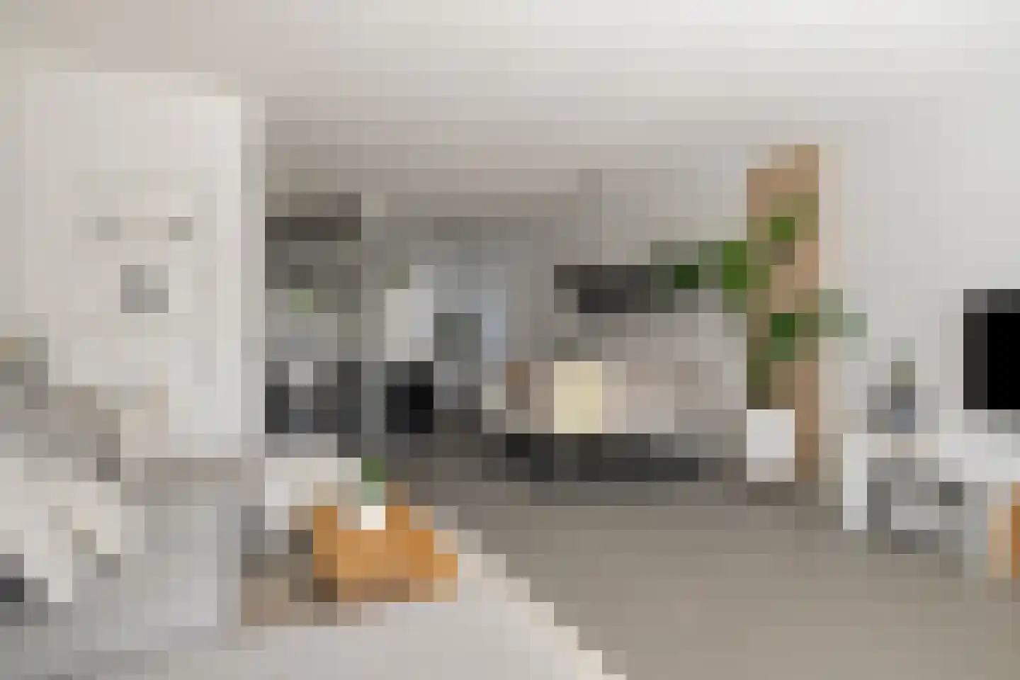 Pieter de Molijnlaan 39 Soest thumbnail 5