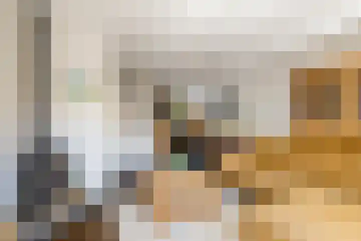 Pieter de Molijnlaan 43 Soest thumbnail 13
