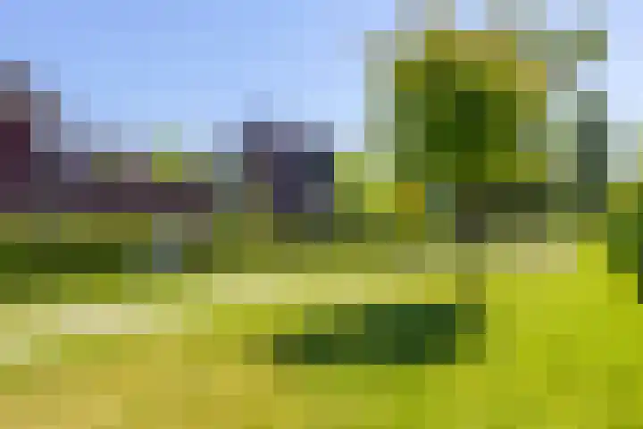 Pieter de Molijnlaan 43 Soest thumbnail 31