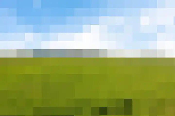 Pieter de Molijnlaan 43 Soest thumbnail 32