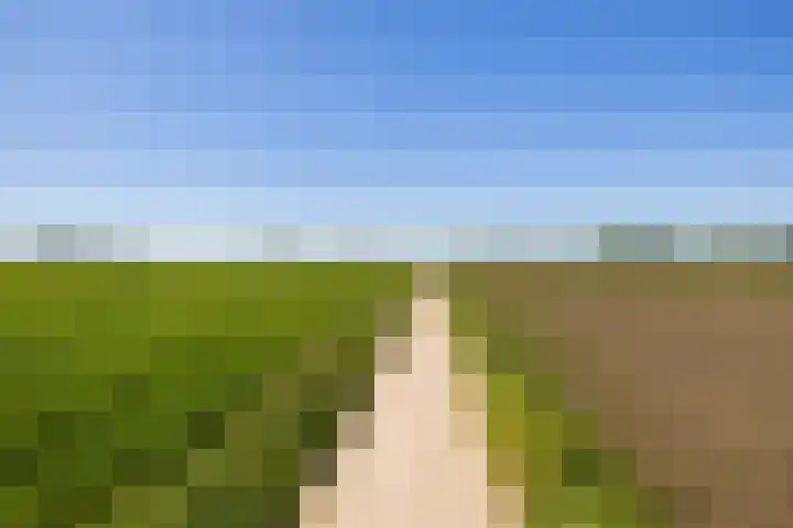 Pieter de Molijnlaan 43 Soest thumbnail 5
