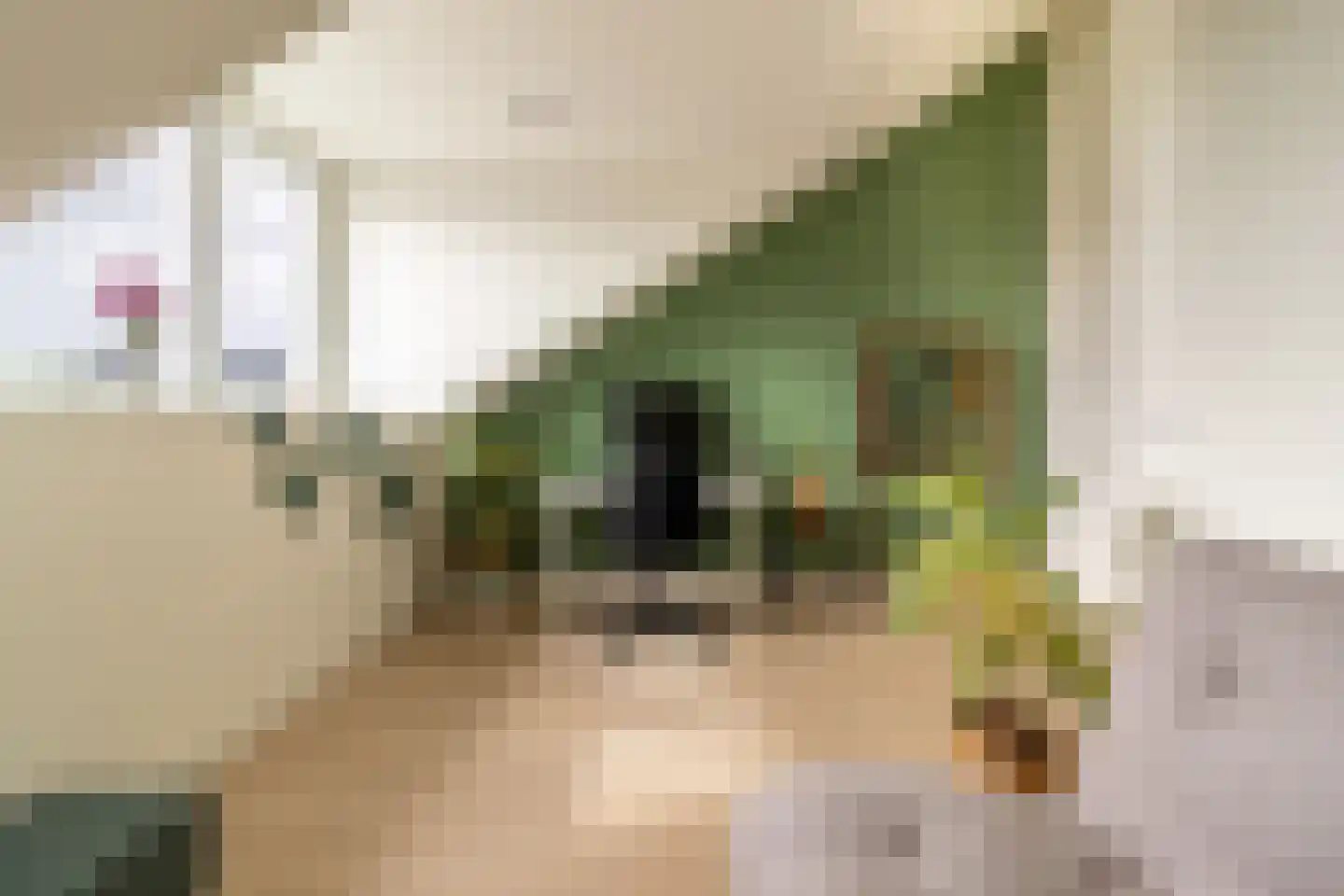 Pieter de Molijnlaan 6 Soest thumbnail 22