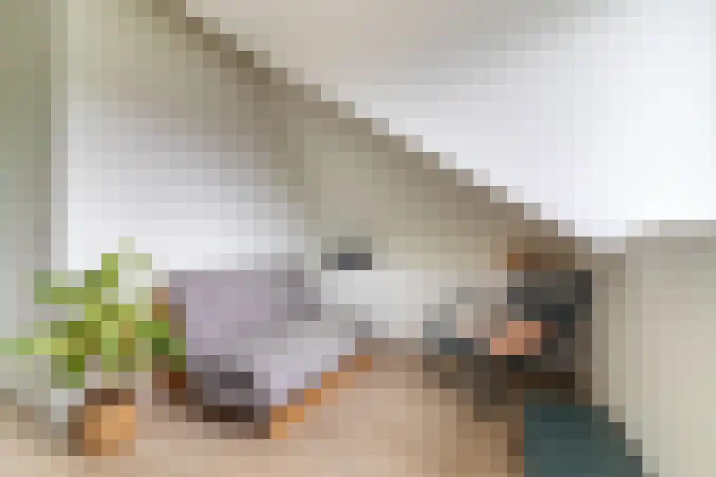 Pieter de Molijnlaan 6 Soest thumbnail 23