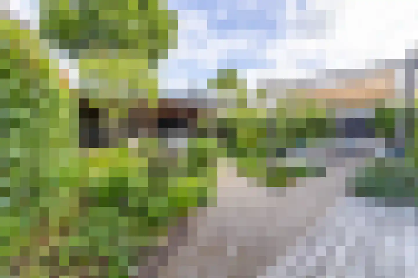 Pieter de Molijnlaan 6 Soest thumbnail 26