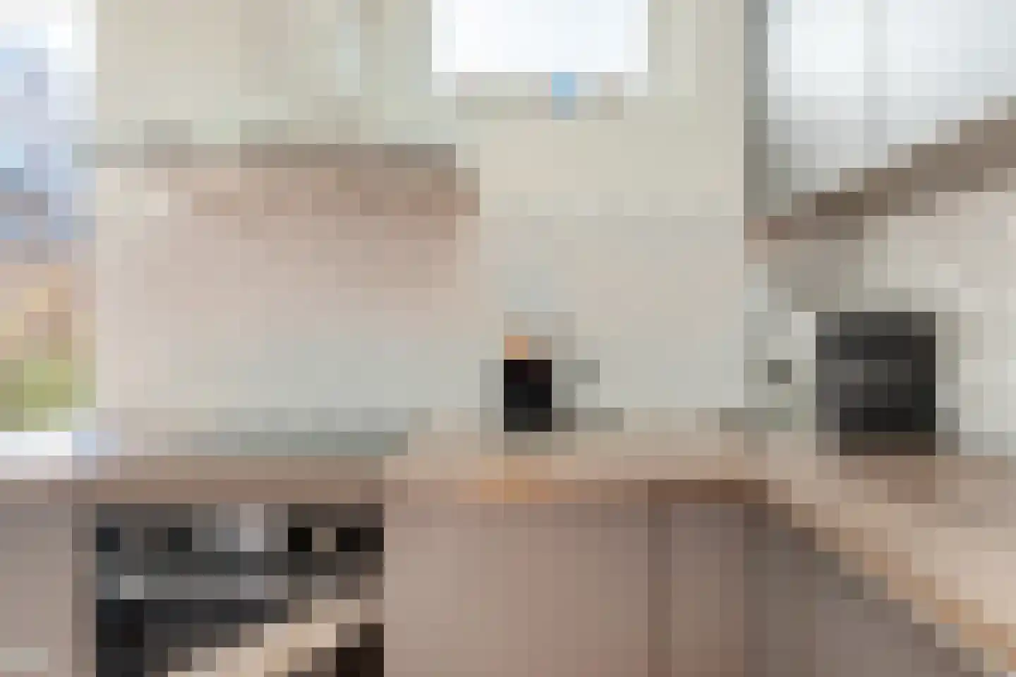 Pieter de Raadtstraat 51 Rotterdam thumbnail 11