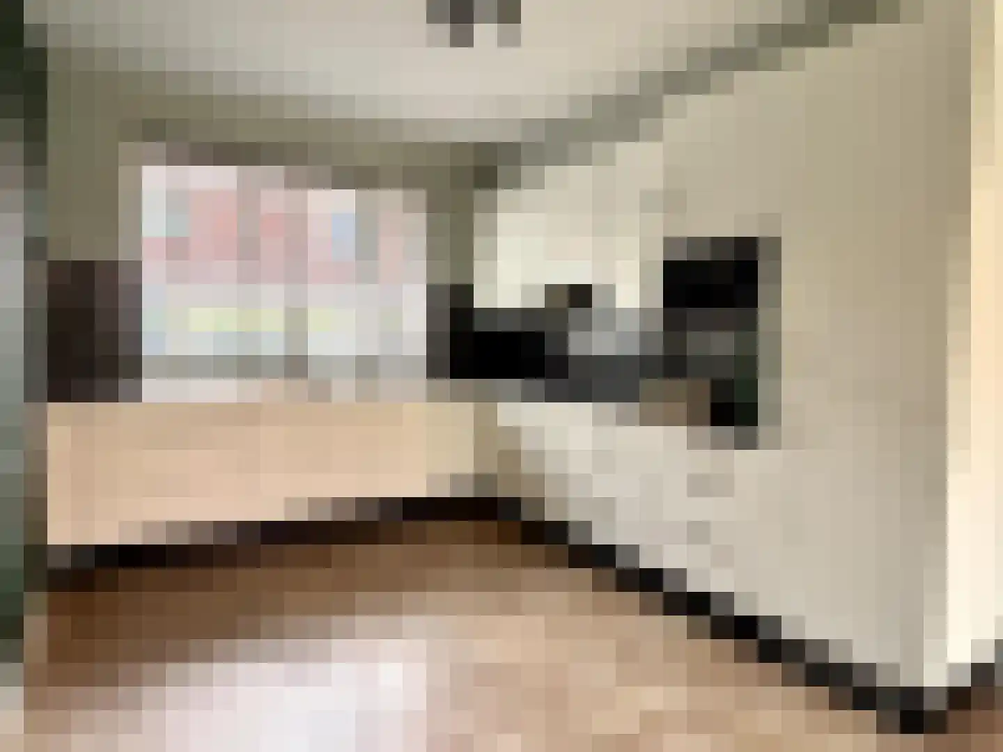 Pieter de Swartstraat 15 Breda thumbnail 10
