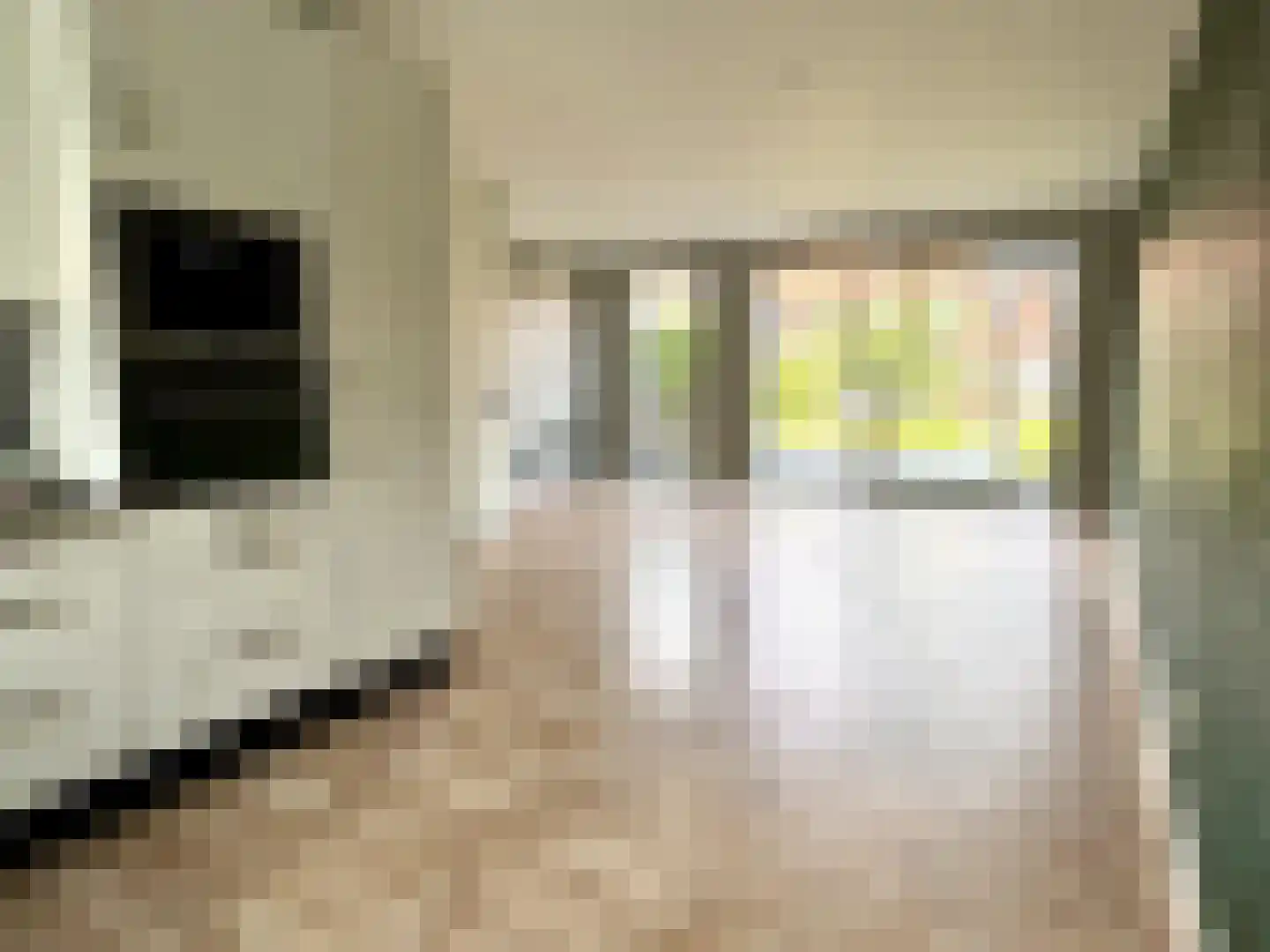Pieter de Swartstraat 15 Breda thumbnail 11