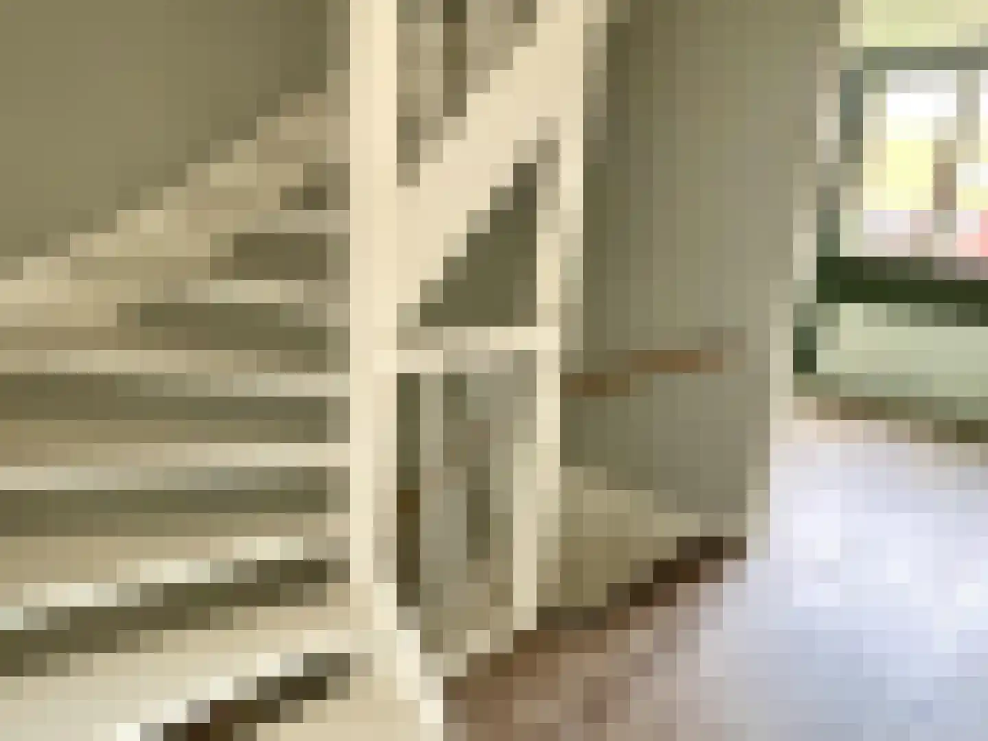 Pieter de Swartstraat 15 Breda thumbnail 13