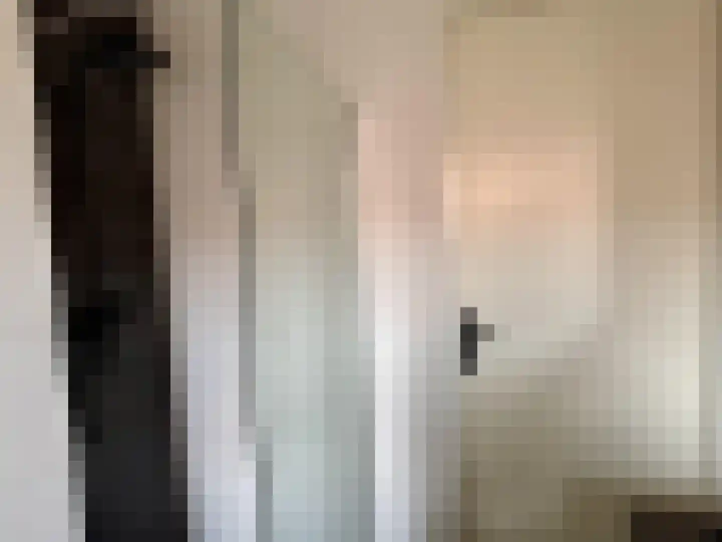 Pieter de Swartstraat 15 Breda thumbnail 16