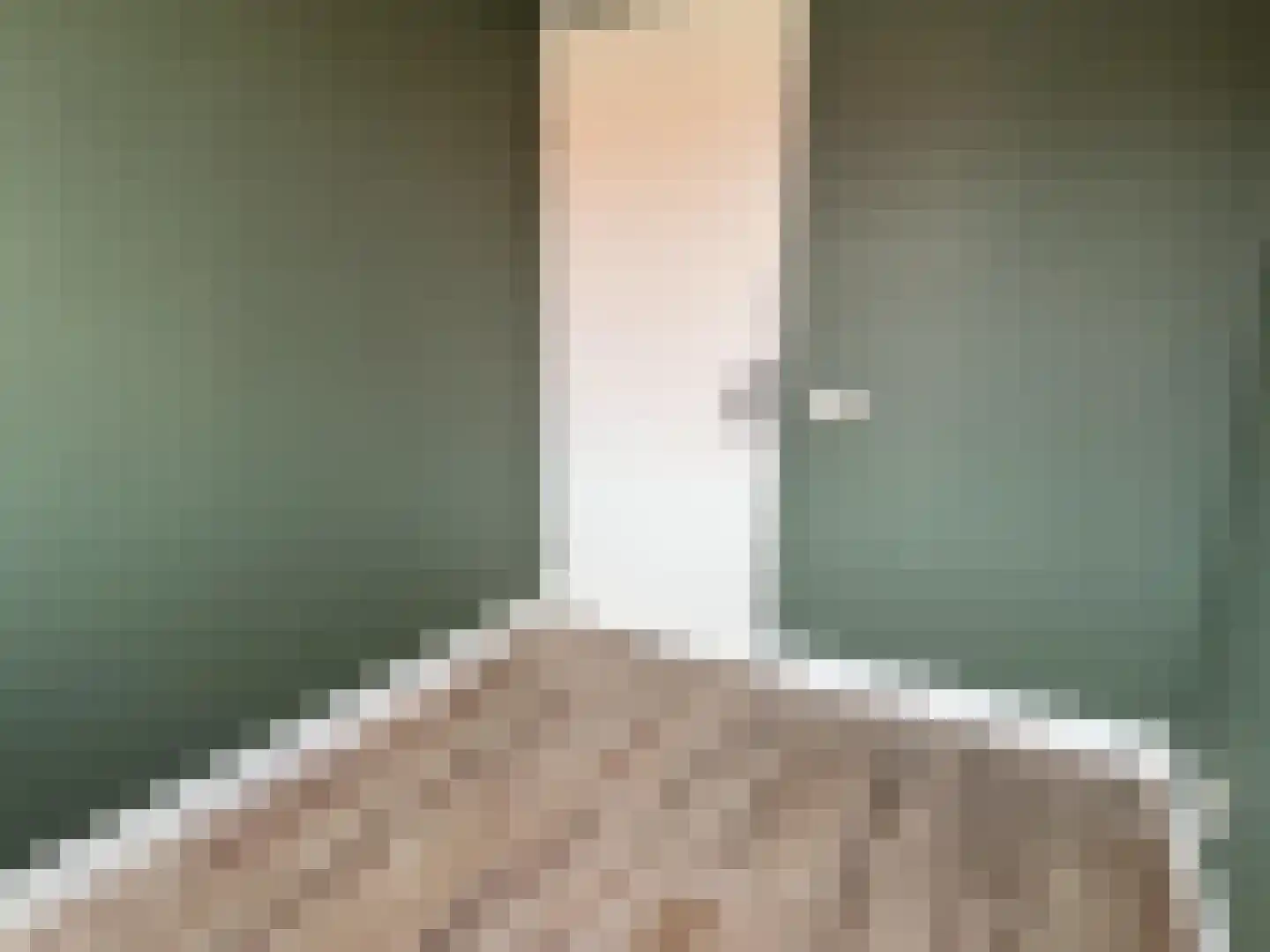 Pieter de Swartstraat 15 Breda thumbnail 21