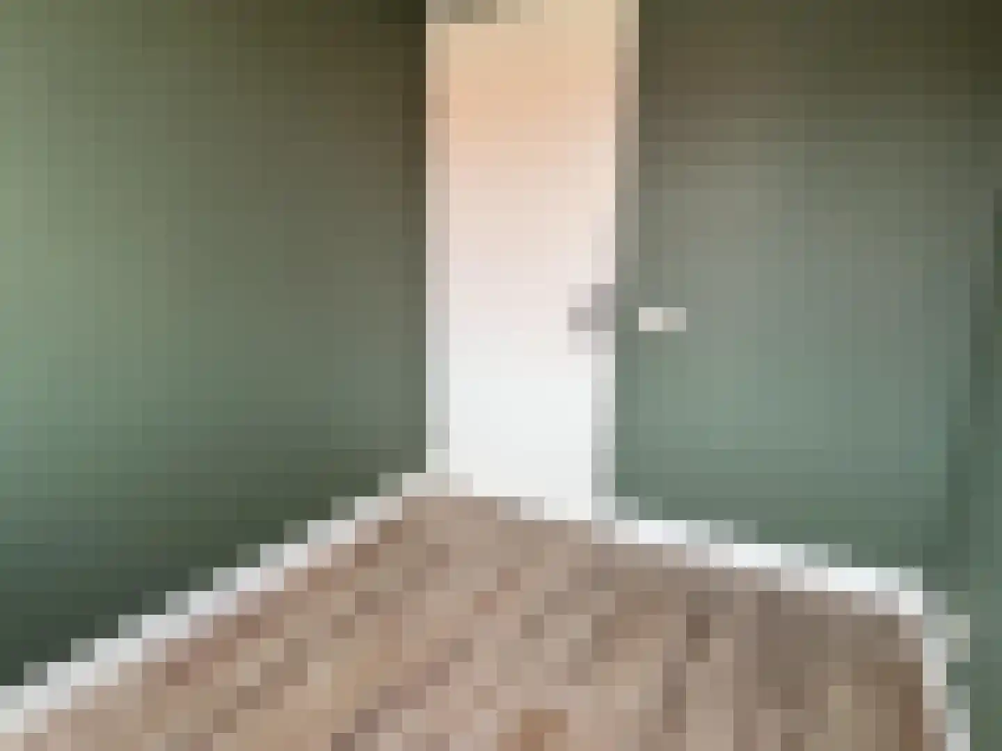 Pieter de Swartstraat 15 Breda thumbnail 21