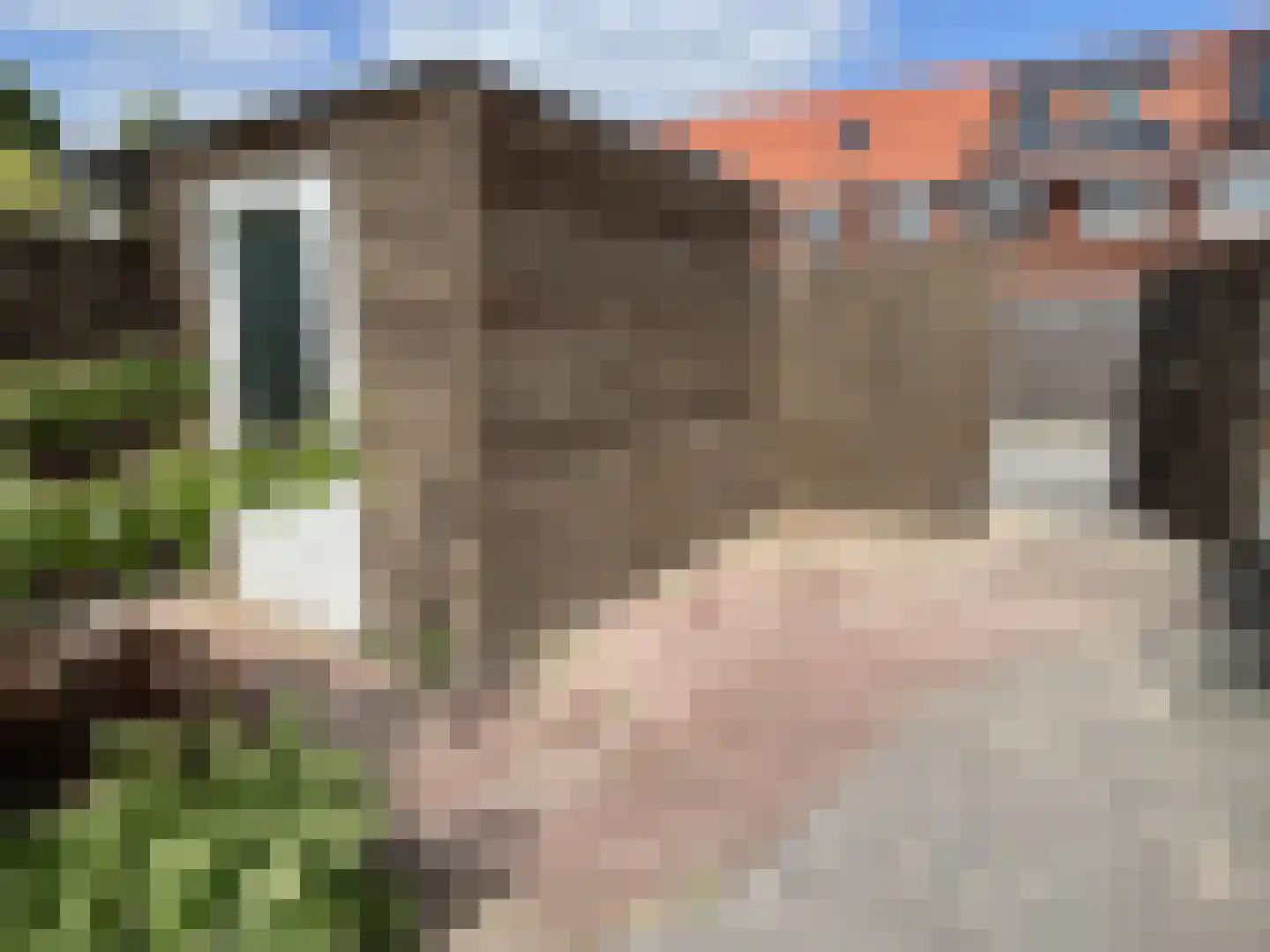 Pieter de Swartstraat 15 Breda thumbnail 32