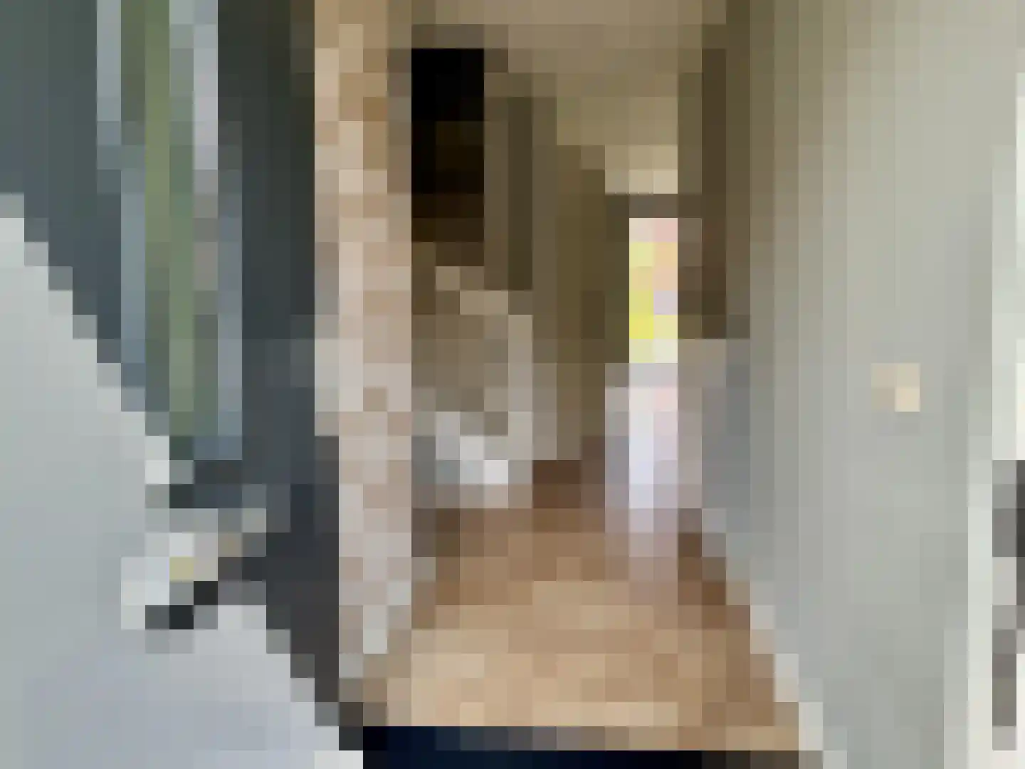 Pieter de Swartstraat 15 Breda thumbnail 4