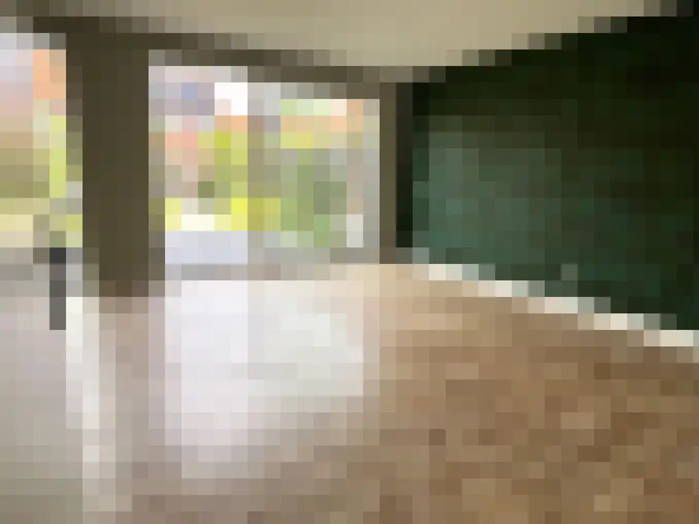 Pieter de Swartstraat 15 Breda thumbnail 7