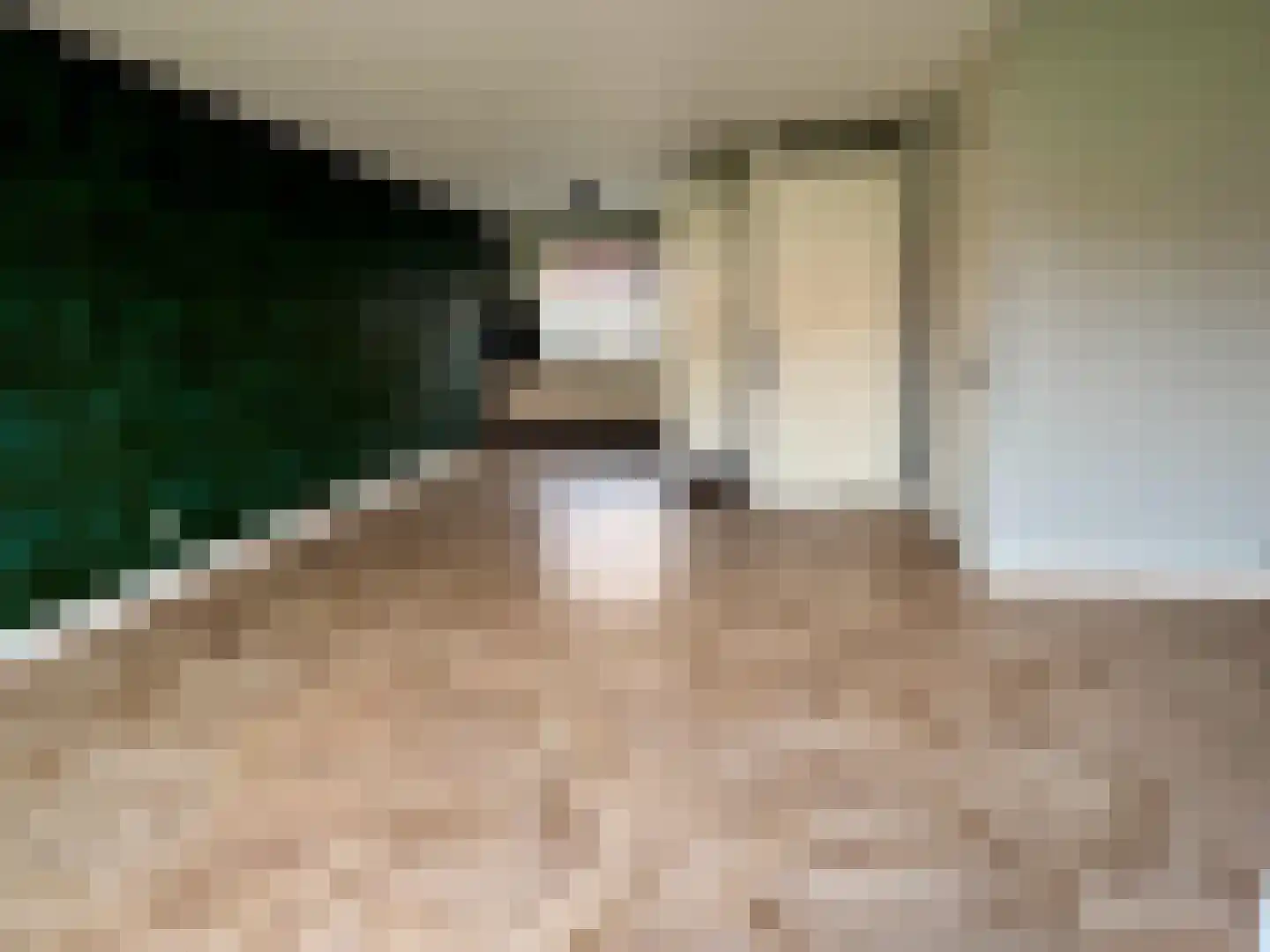 Pieter de Swartstraat 15 Breda thumbnail 8
